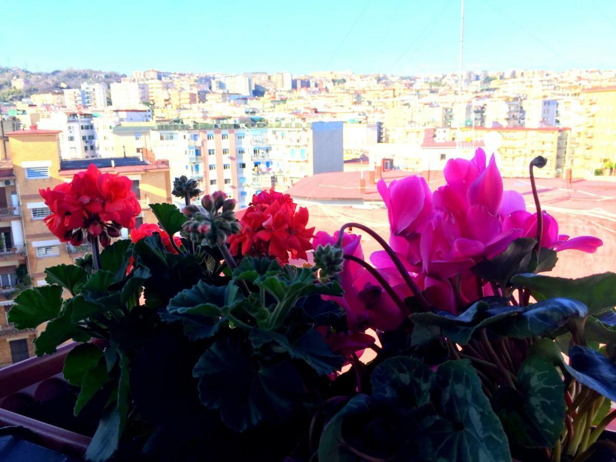 Suite Delicia Apartment - Appartamento Con Terrazza Napels Buitenkant foto